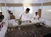 Ziarah Makam Pallipa Pute di Pinrang, Azhar ke Pengelola: Terima Kasih Telah Menjaga Situs Sejarah